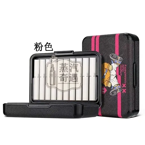 【粉色/紫色/綠色/藍色】TEREA保鮮盒 可愛泰迪熊圖案|20支收納盒|防水防汗防潮防摔|IQOS 煙彈收納盒現貨